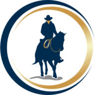 Chisholm Financial Planning & Investments logo